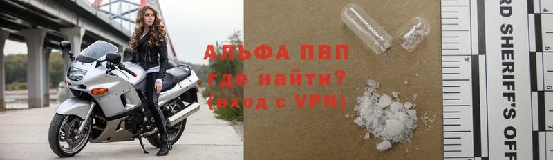 A-PVP СК Ладушкин